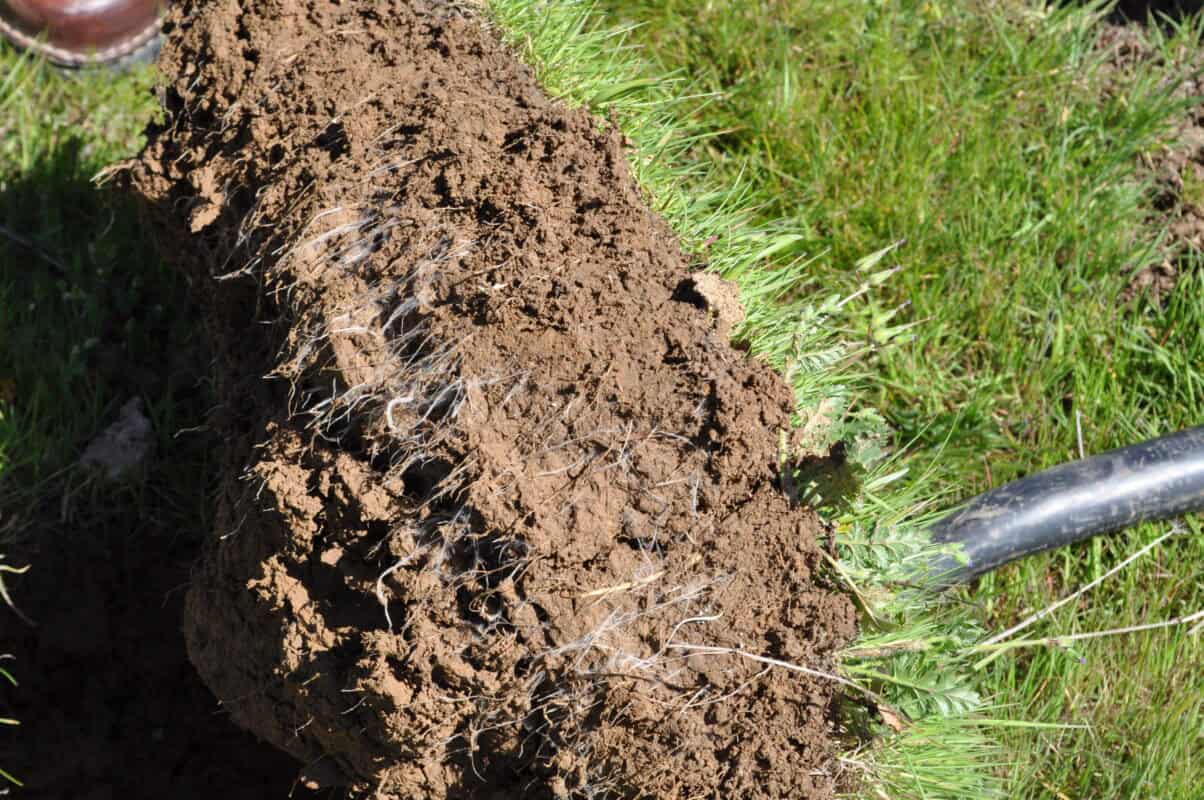 DSC_0294 Yeomans cultivation contrast sub soil aeration ground rejuvenation