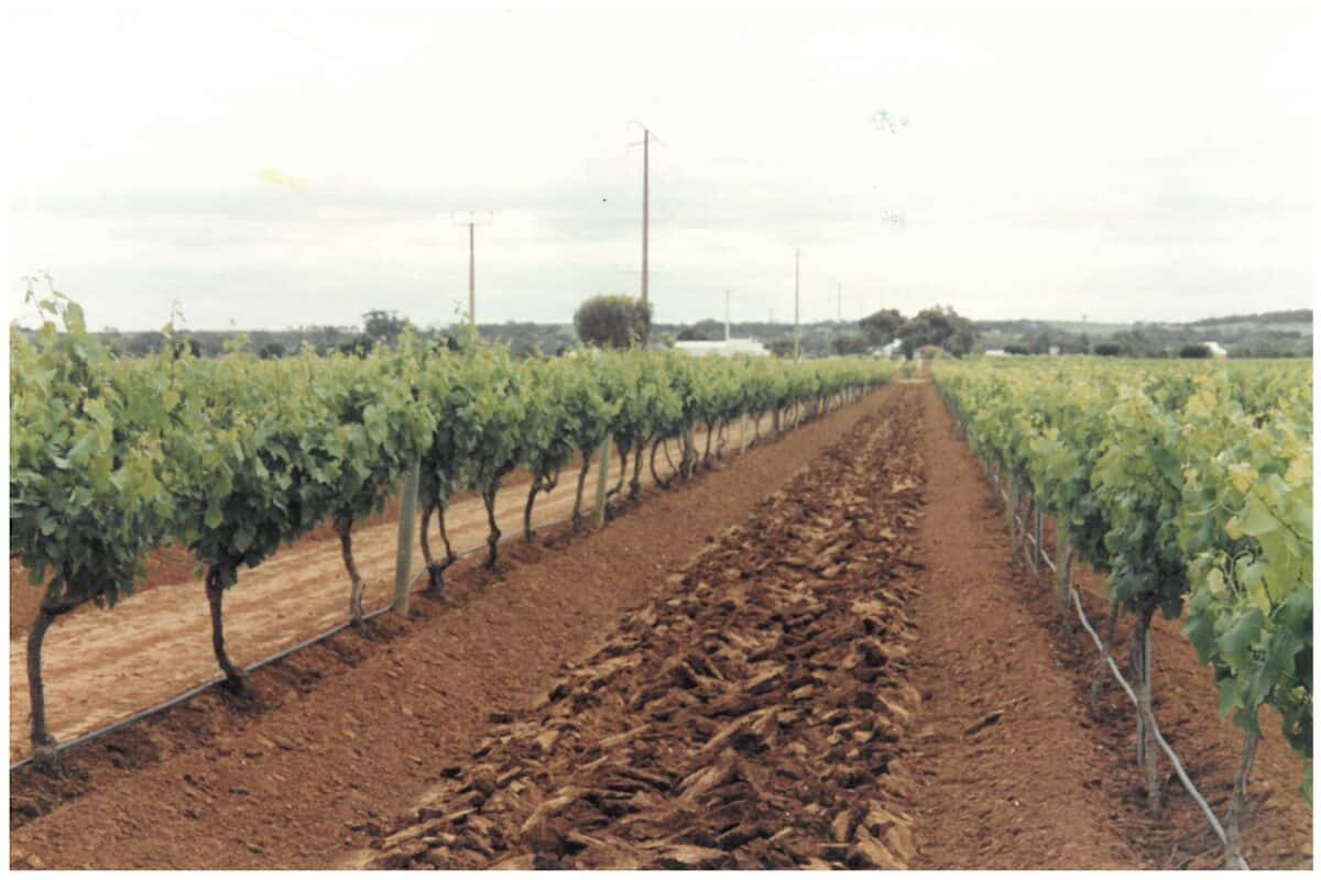 Yeomans cultivation contrast sub soil aeration ground rejuvenation , improvement of soil and hummus