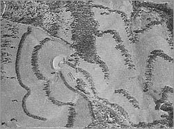 Aerial view of portion of Nevallan