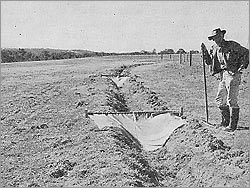 Irrigation drain with two flags in position