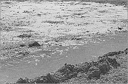 Extended irrigation area
