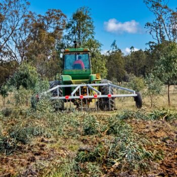 Wooble Blade Weeding with a Yeomans Plow